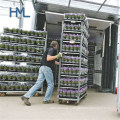 Hot Sale High Quality Plant Warehouse Greenhous Nursery Danish Outdoor Metal Flower Cart